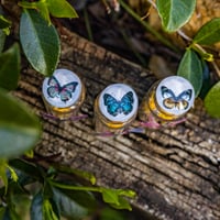 Image 2 of Butterfly (Simple) - Message in a Bottle