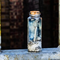 Image 4 of Sword in a Bottle - Message in a Bottle