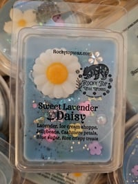 Image 1 of Sweet Lavender Daisy (A Rockytop houseblend)