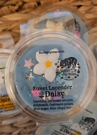 Image 3 of Sweet Lavender Daisy (A Rockytop houseblend)