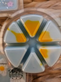 Image 5 of Sweet Lavender Daisy (A Rockytop houseblend)
