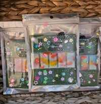 Image 7 of Sweet Lavender Daisy (A Rockytop houseblend)