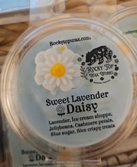 Image 10 of Sweet Lavender Daisy (A Rockytop houseblend)