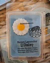 Image 11 of Sweet Lavender Daisy (A Rockytop houseblend)