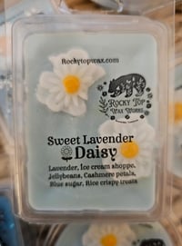 Image 14 of Sweet Lavender Daisy (A Rockytop houseblend)