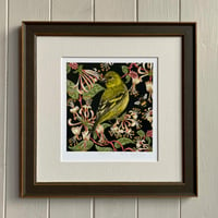 Image 3 of HAND DRAWN SISKIN SIGNED ART PRINT