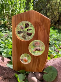 Image 1 of Celestial Echoes Sun Catcher