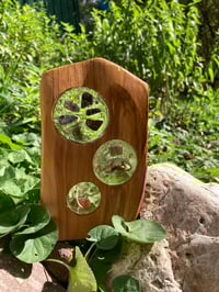 Image 5 of Celestial Echoes Sun Catcher
