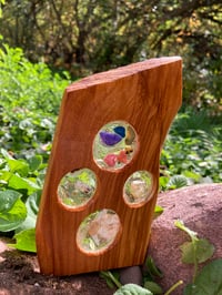 Image 3 of Celestial Driftwood Sun Catcher