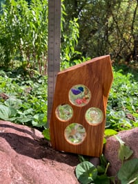 Image 4 of Celestial Driftwood Sun Catcher