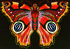 Butterfly A3 Giclee Print 