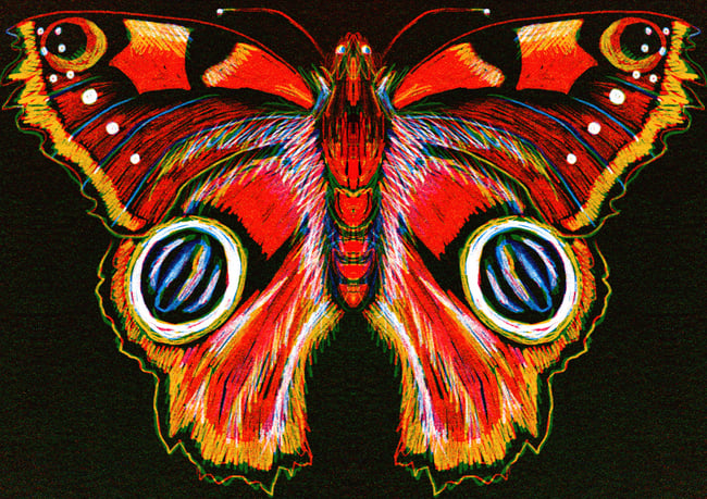 Butterfly A3 Giclee Print 