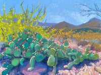 Cactus Bloom by Sari Shryack  - Original Painting