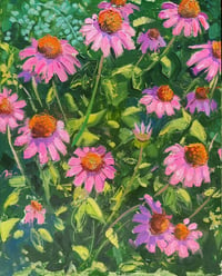 Pink Echinacea by Sari Shryack - Original Painting