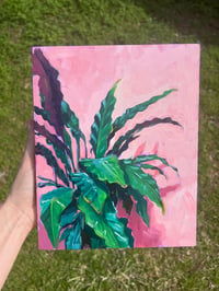 Plant on Pink by Sari Shryack - Original Painting