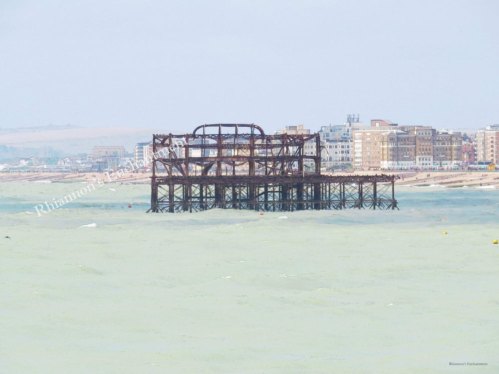 Brighton - Bonnie Prints 