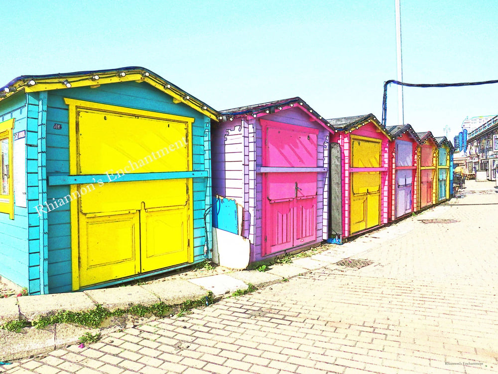 Brighton - Bonnie Prints 