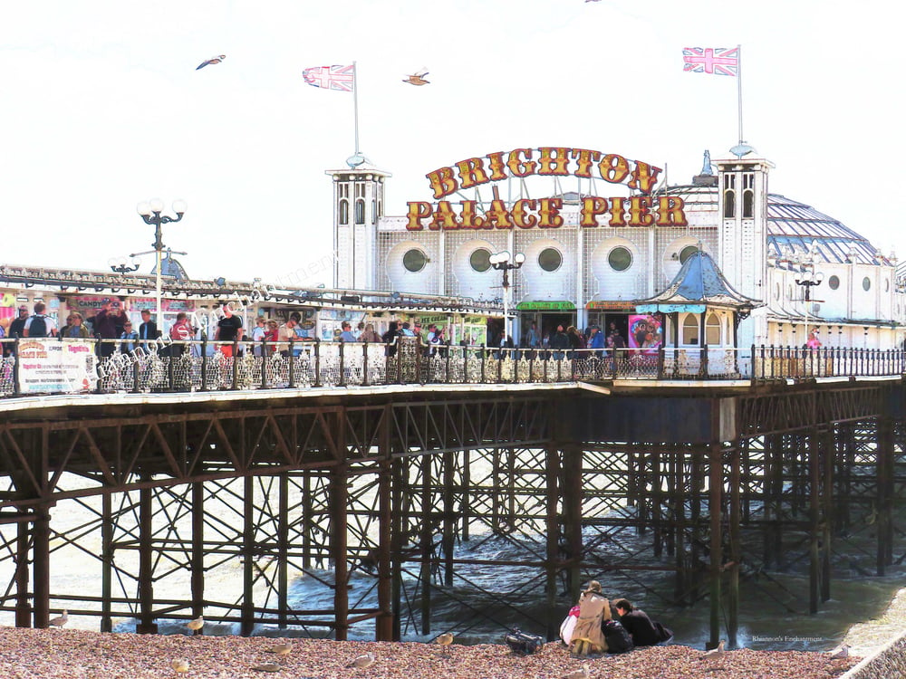 Brighton - Bonnie Prints 