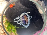 Image 2 of Twilight Harmony Quartz Wrap Pendant