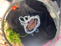 Image 4 of Twilight Harmony Quartz Wrap Pendant
