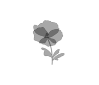 layered poppy 
