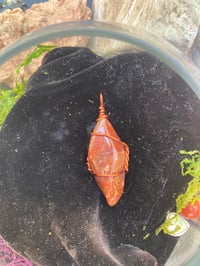 Image 1 of Ember Apex Pillar Pendant