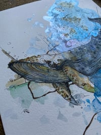 Image 3 of Baleine Encre 