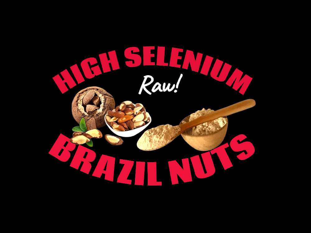 HIGH Selenium Wild-Raw-Amazon Grown Brazil Nut Seed Protein Powder-Testosterone-Fertility-Thyroid