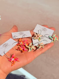 Image 1 of Pinwheels 