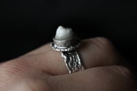 Image 1 of Dead Good human tooth ring !