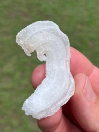 Image 9 of Ram’s Horn Selenite, Gypsum Specimen | Guizhou China #3050