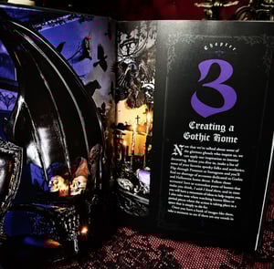 Image of Gothic Life Book