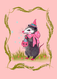 Little possum witch 