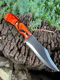 Image 1 of BENGAL TIGER BOWIE
