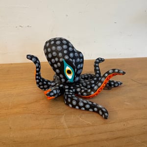 Image of Black beauty 