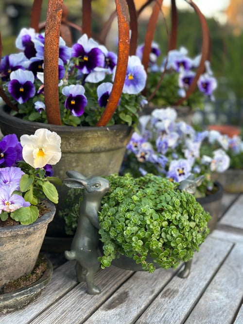 Image of Rabbit Pot Holder 