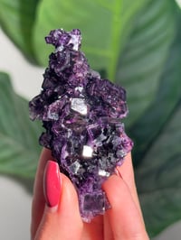 Image 2 of HIGH QUALITY SUGAR COATED PURPLE CUBIC FLUORITE -CHINA-