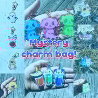 Image 1 of Mystery Charm Bag