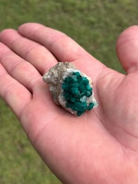 Image 20 of Dioptase Specimen | Congo #3011
