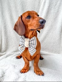 Image 3 of BUNNY BUM SAILOR BOW
