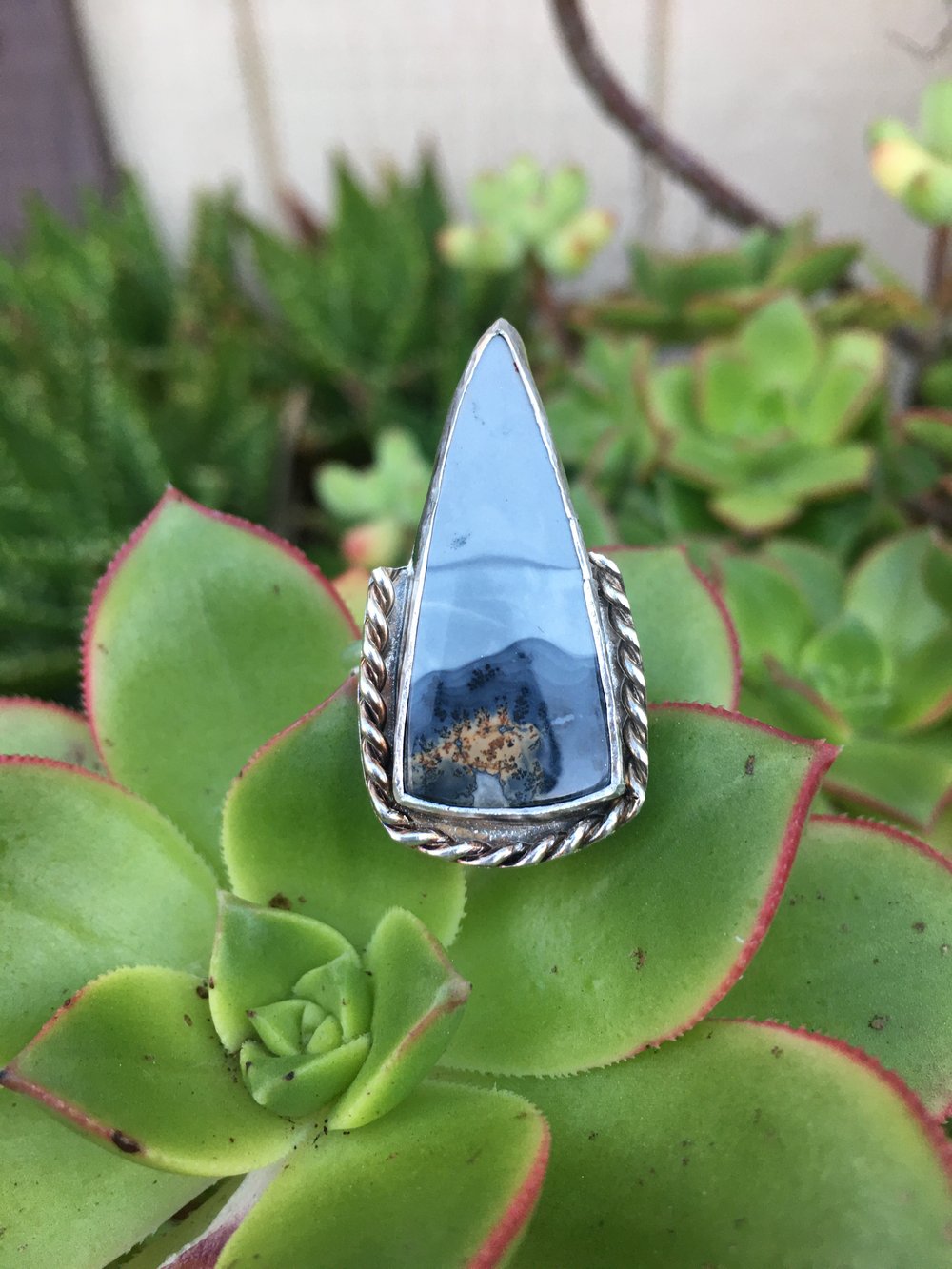 Image of Maligano Jasper w/ twisted border