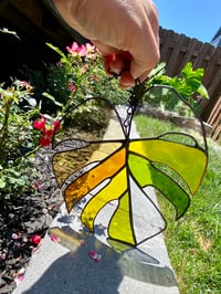 Image 2 of **PRE-ORDER** Large Monstera Leaf - Price varies on type of glass 