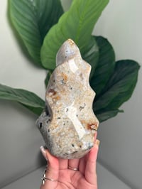 Image 1 of ORBICULAR SEA JASPER FLAME -MADAGASCAR-