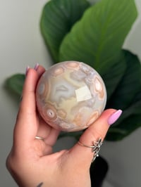 Image 6 of HQ FLOWER AGATE SPHERE -MADAGASCAR- A