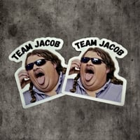 Image 1 of Team Jacob 3" Sticker Pack