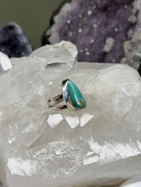 Image 2 of Fox Turquoise Ring size 5.5