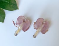 Image 1 of Hera Bleeding Hearts - Silver 