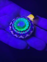 Image 5 of Nova Glow