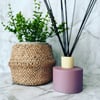 Short Urban Reed Diffuser 200ml - MATTE PURPLE  **ONLY 2 AVAILABLE**