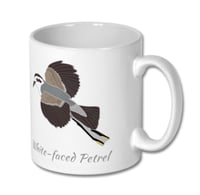 Image 1 of White-faced Storm-petrel - Scilly Pelagics Mug